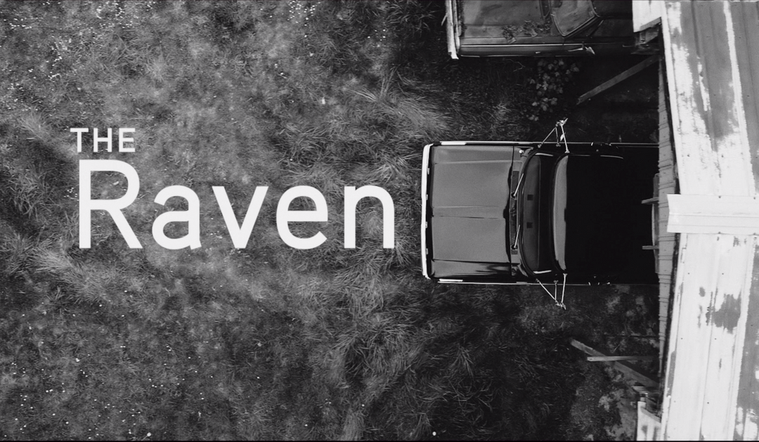 AWAKENING: The Raven
