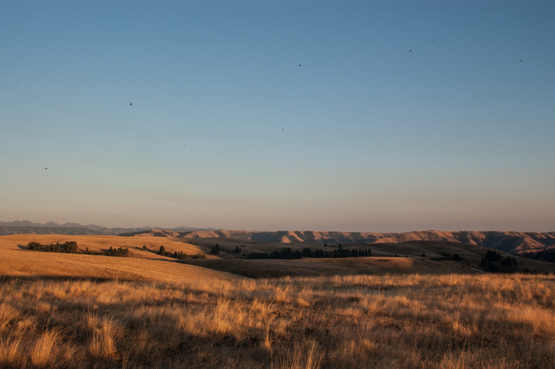 Oregon Outback